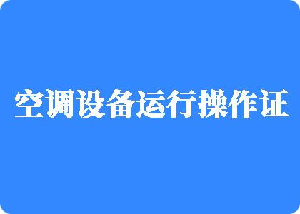 大鸡巴操骚穴视频制冷工证